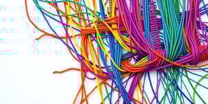 The Wealth Weave: Interconnected Financial Decisions